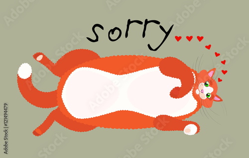 illustration of the cat I'm sorry