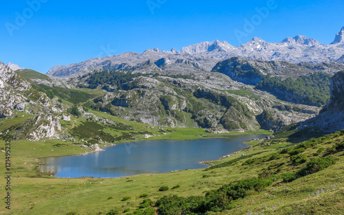 Scenic view in Covadonga, Asturias, northern Spain © e55evu