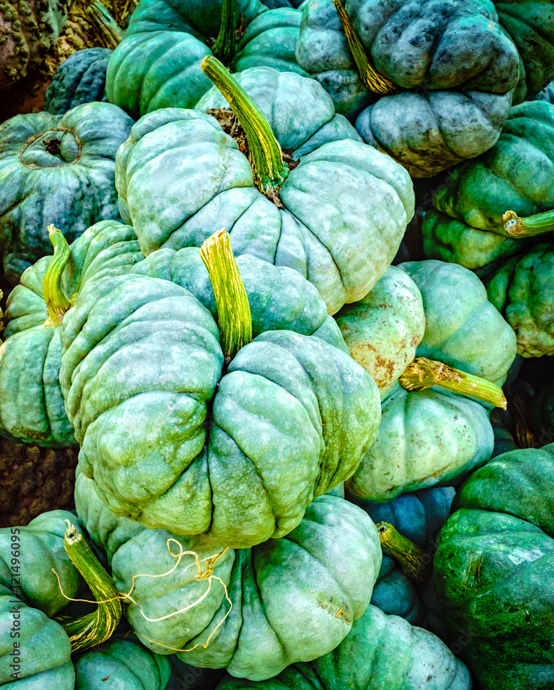 Green Gourds Green Gourds