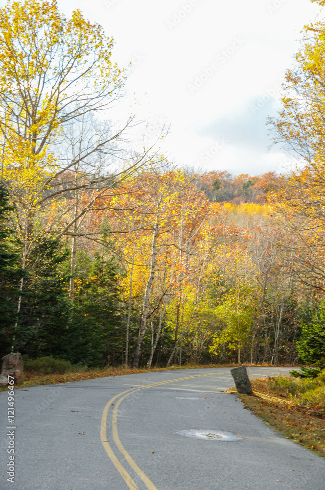 Obraz premium acadia national park