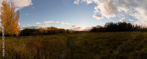 Autumn in Alberta