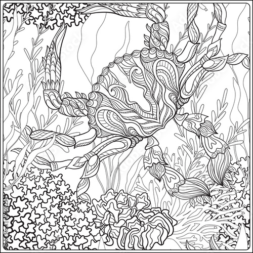 Pattern with decorative corals and sea or aquarium fish. Anti stress coloring book for adult. Outline drawing coloring page.