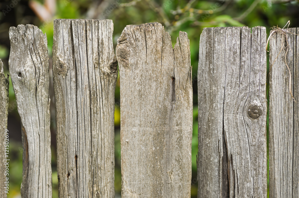 Old shabby wooden fence