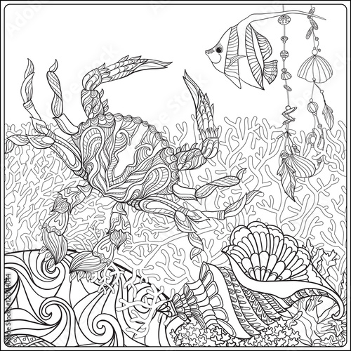 Coral reef collection. Anti stress coloring book for adult and. Outline drawing coloring page.