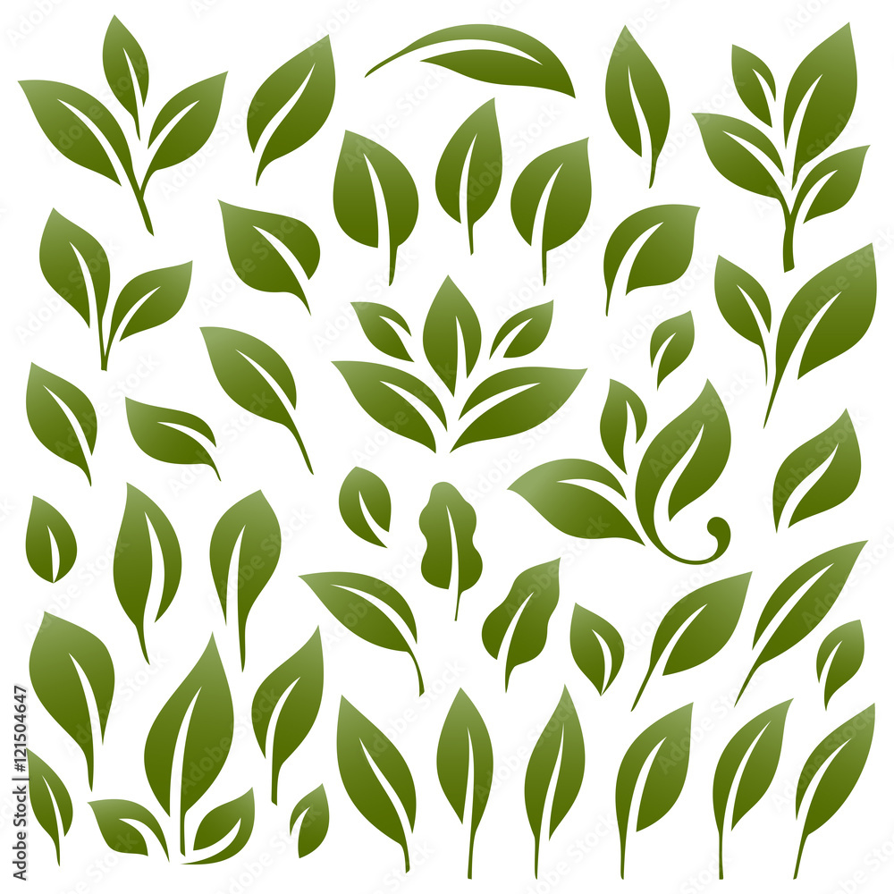 Leaves set 2 Leaves set 2
