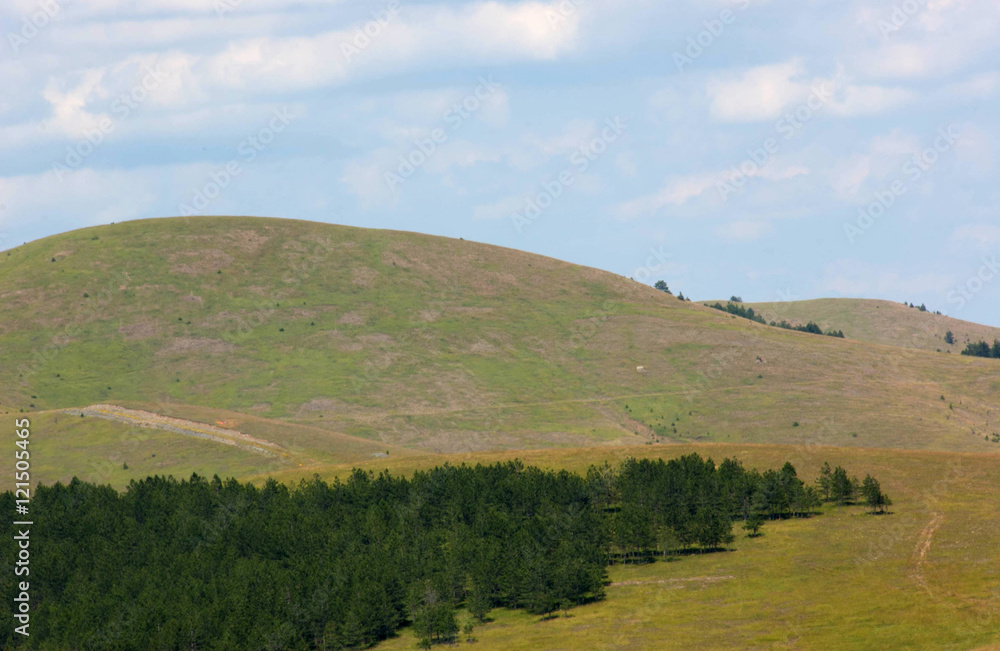 Fototapeta premium Mount Zlatibor, Serbia