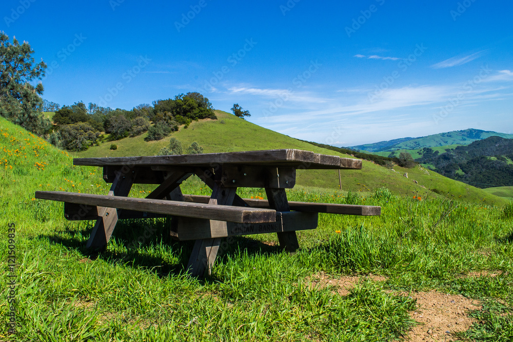 Lonely Picnic Table 