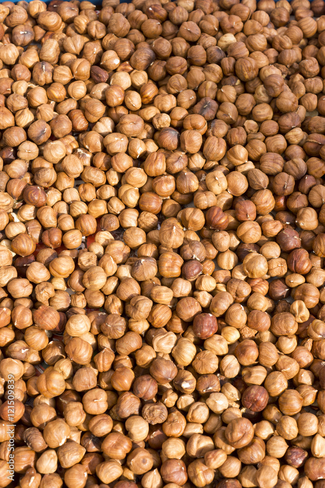 hazelnut hazelnut