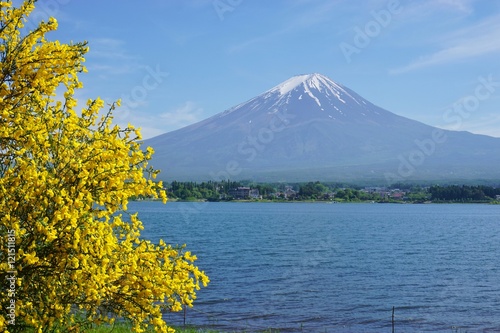 The Mount Fuji in Japan © eqroy