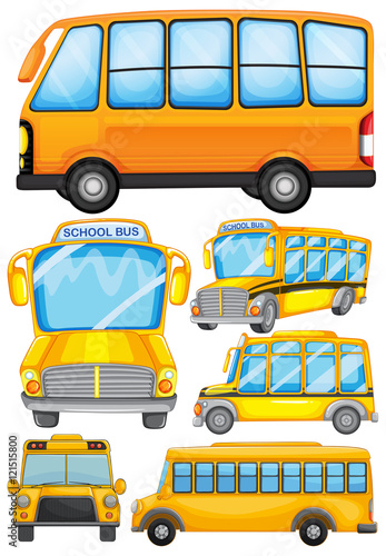 Different design of school bus