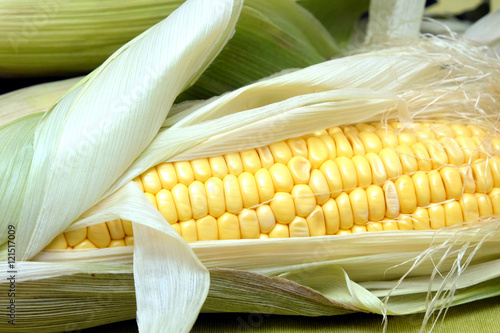 Ripe raw corn on the cob close-up horizontal view closeup