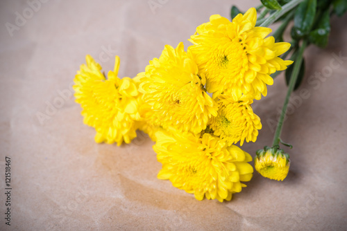 Close up of yellow flower aster on brown paper