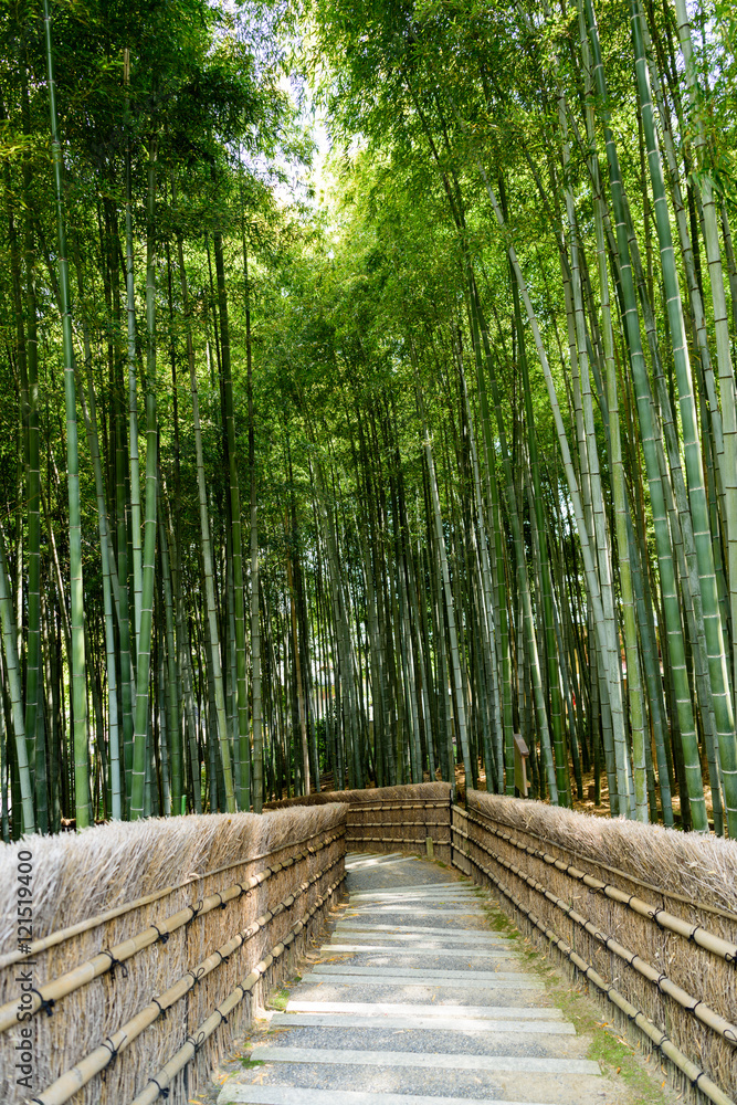 Fototapeta premium Las bambusowy w świątyni Nembutsu-ji w Arashiyama, Kioto