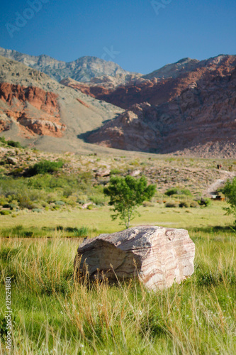 Canvas Print The loan rock