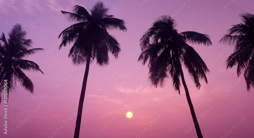 Silhouette of Tropical Coconut Trees during Sunset or Sunrise at the Island, Romantic Scenery