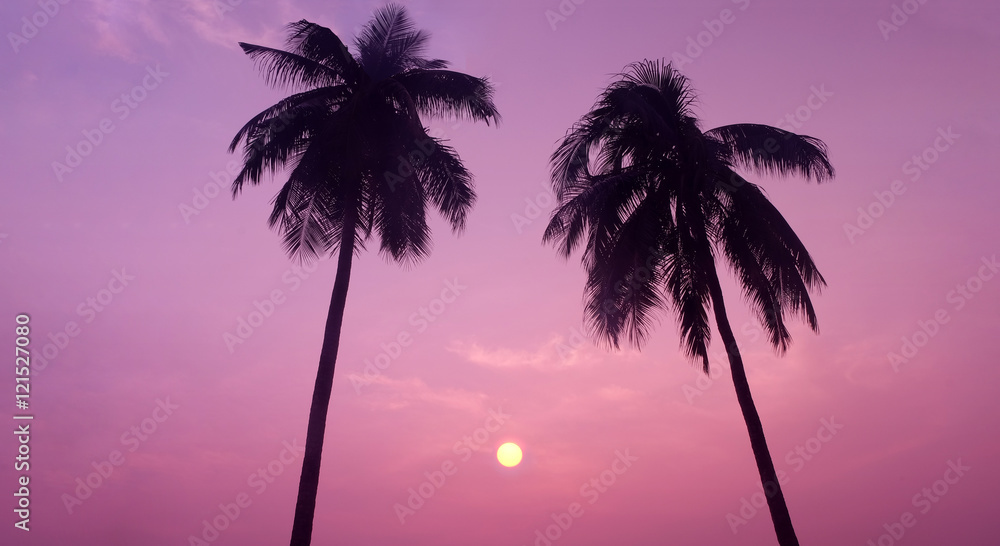 Silhouette of Couple Tropical Coconut Trees during Sunset or Sunrise at the Island, Romantic Scenery