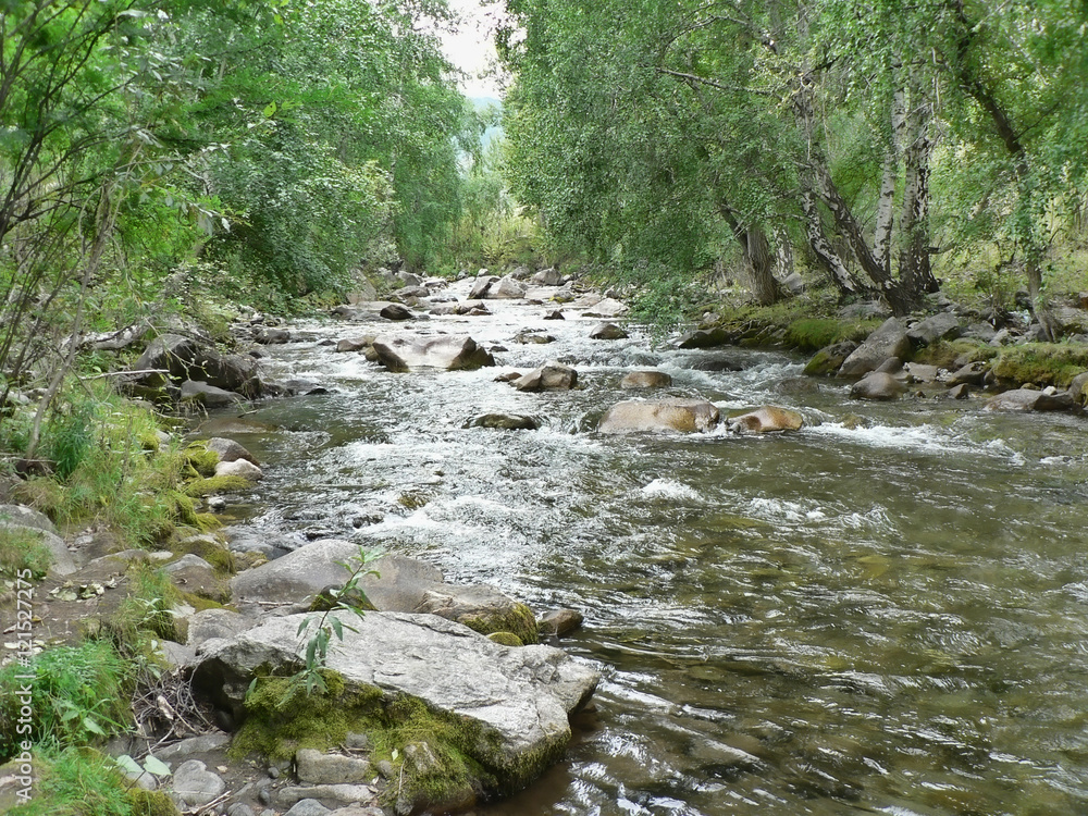 Small river in the mountains. Water flows between rocks and gras Small river in the mountains. Water flows between rocks and gras