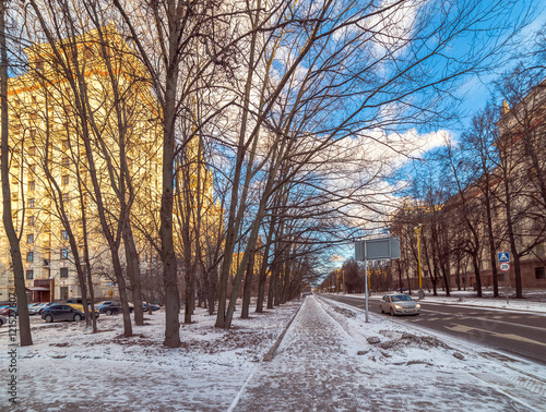 Wide angle view of tree alley near street crossing the campus of Moscow University