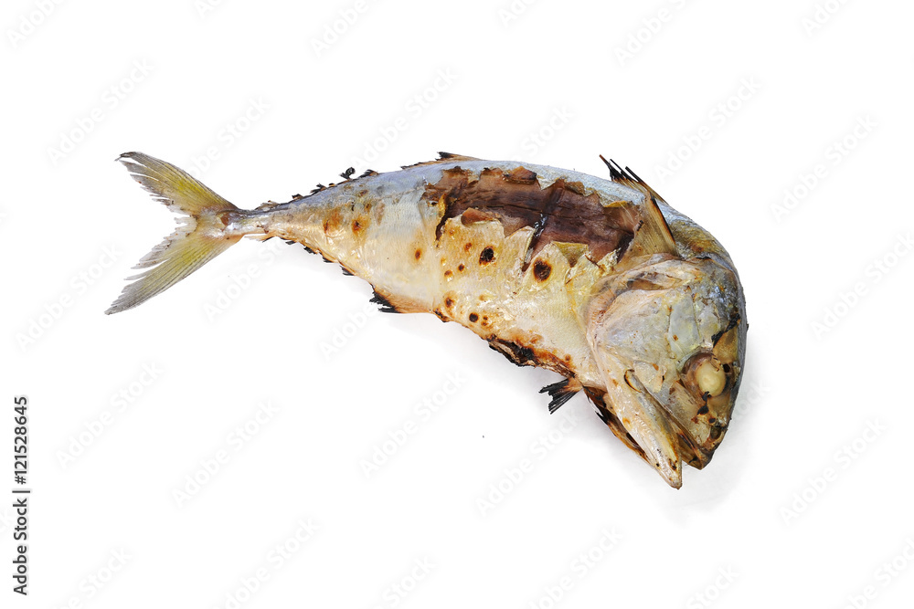 grilled mackerel isolated on white background grilled mackerel isolated on white background
