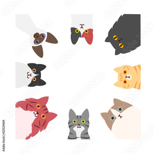 cats square frame