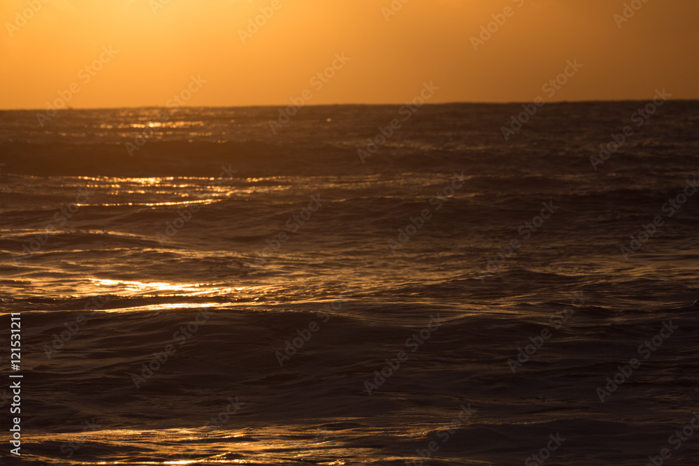 golden dark sea, sunshine in the summer morning day