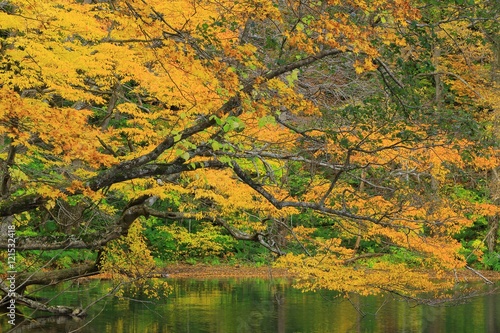 十和田湖の紅葉 