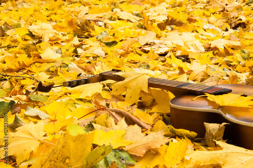 Guitar in autumn leaves.