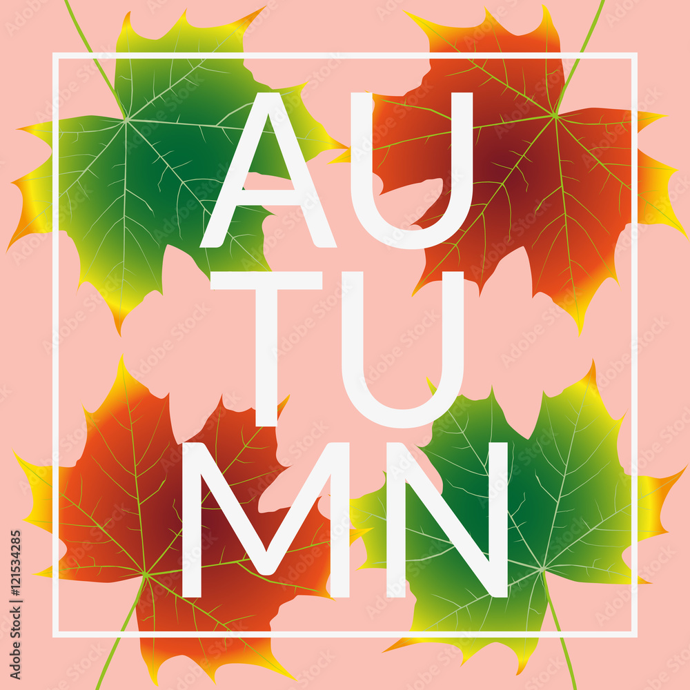 Autumn Leaves Set, october colorful Autumn Leaves Set, october colorful