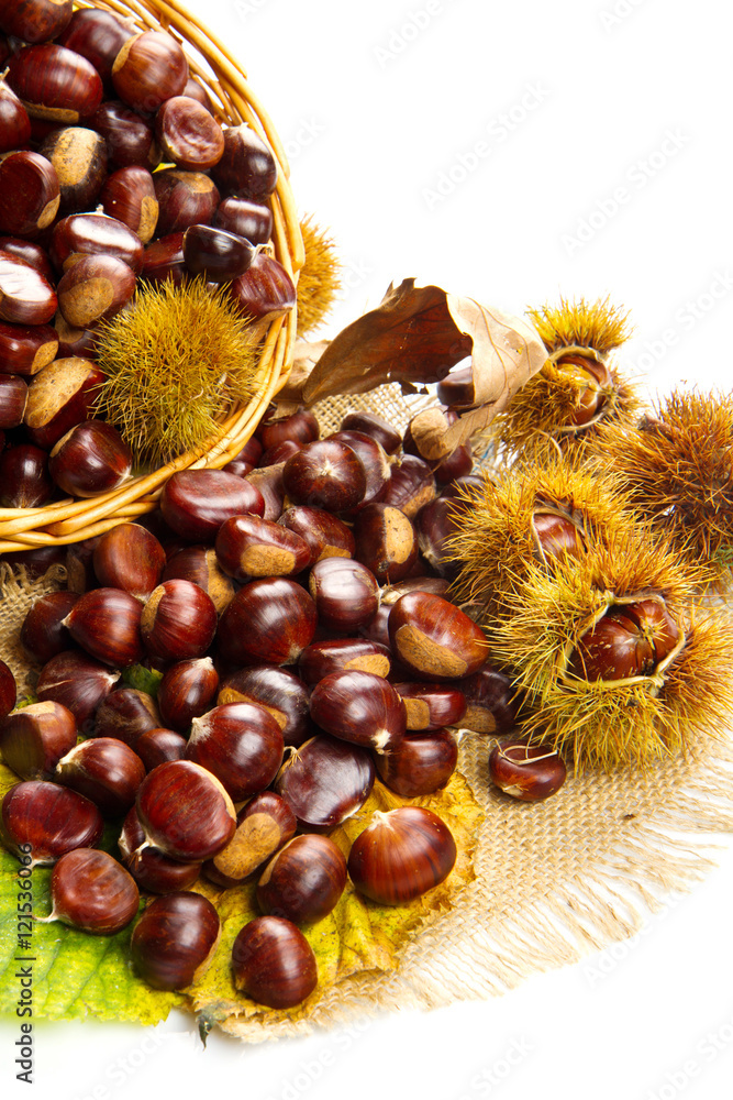 close up of chestnuts isolated on white background close up of chestnuts isolated on white background