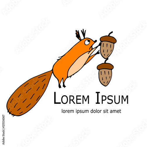 Fototapeta Naklejka Na Ścianę i Meble -  Funny squirrel with nut for your design