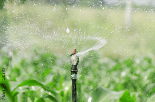 sprinkler old dilapidated in farm Sugarcane Daytime .