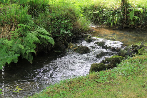 Ruisseau