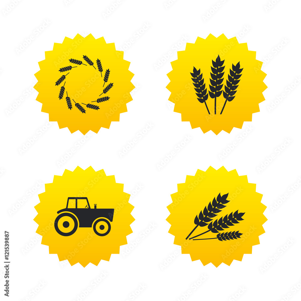Agricultural icons. Wheat corn or Gluten free. Agricultural icons. Wheat corn or Gluten free.