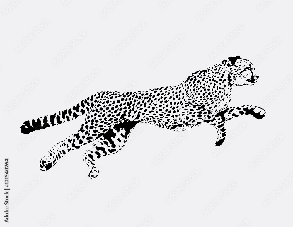 Obraz premium postać z systemem Leopard na szarym tle
