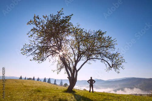 Man on a hill under the tree