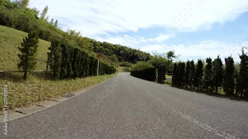 Wallpaper Mural Driver POV through the sunny forest surrounding the country club at Chiba, Japan. Torontodigital.ca