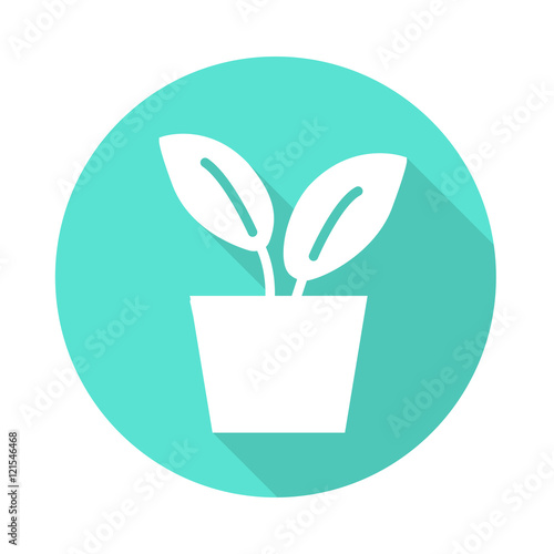 Long Shadow Blumentopf