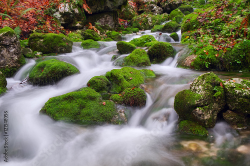 Fototapeta Naklejka Na Ścianę i Meble -  Mountain creek in the autumn forest in Triglav national park