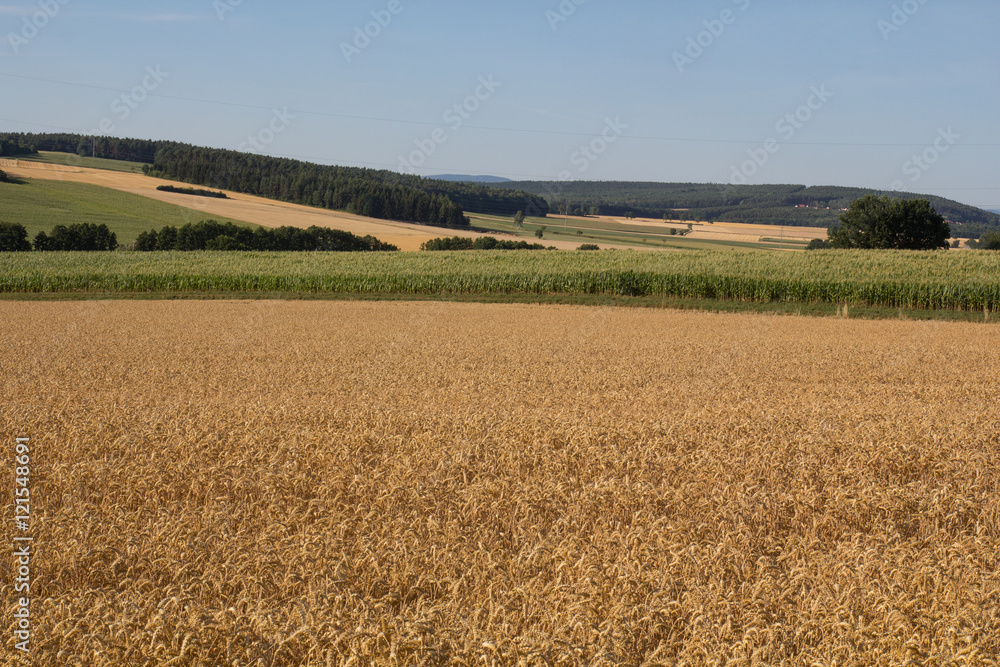 bavarian summer landscape