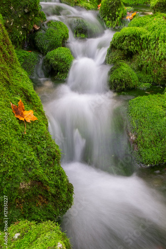 Mountain creek in the autumn forest in Triglav national park