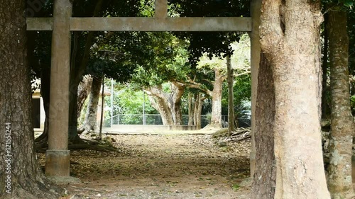 Wallpaper Mural Zoom out shot from an abandoned Shinto Shrine in Ishigaki Island. Torontodigital.ca