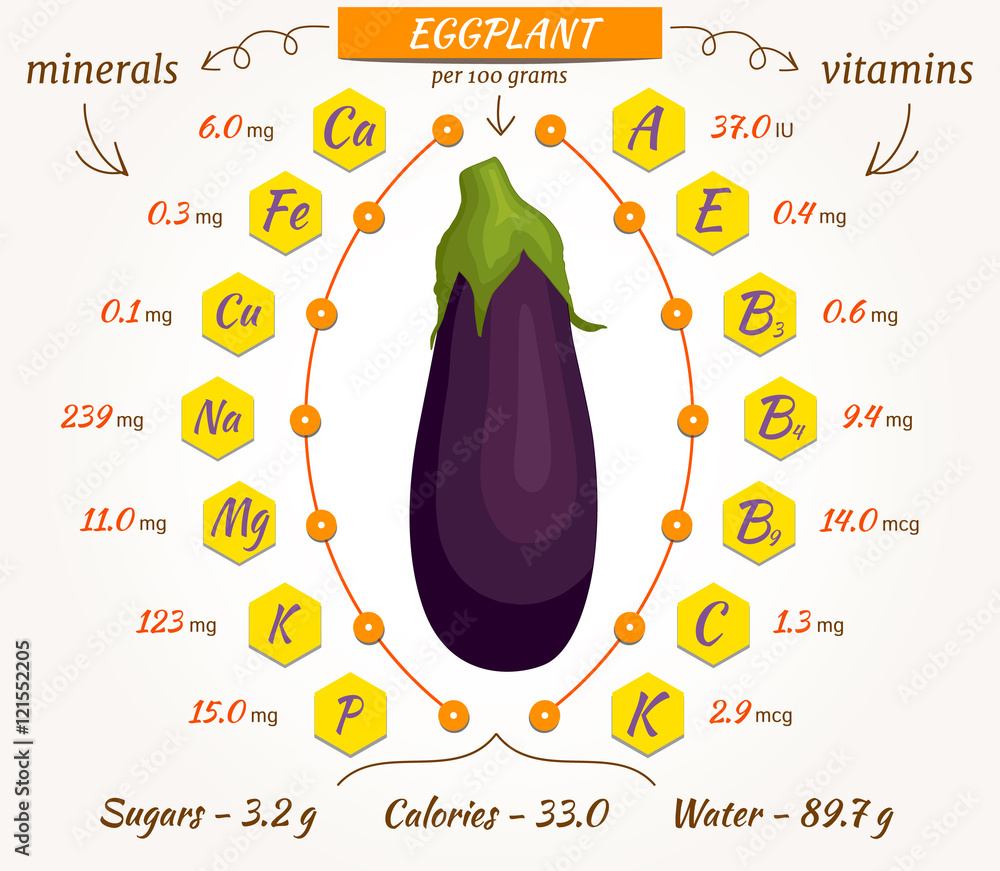 Eggplant infographics, nutrition facts, calories and analysis. Vector