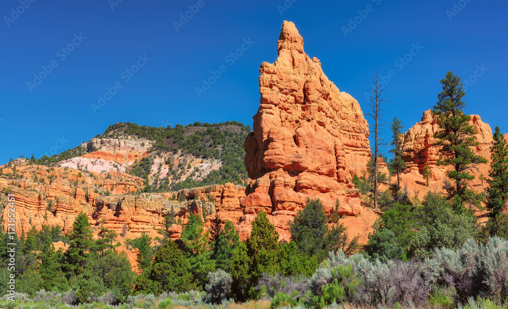Red rocks in Red Canyon, Bryce Canyon National Park, Utah Red rocks in Red Canyon, Bryce Canyon National Park, Utah