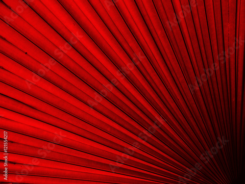 Texture of red palm Leaf