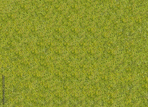 grass texture grass Golf Course for design pattern and backgroun