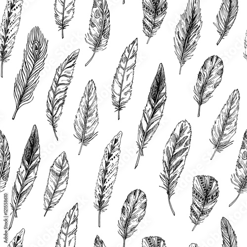 Hand drawn vector vintage illustration - Feathers. Ink and feather