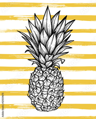 Hand drawn vector illustration - Pineapple with striped backgrou