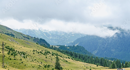 Transalpina road, Parang Mountains, pine forests,  Carpathian Mountains © Negoi Cristian