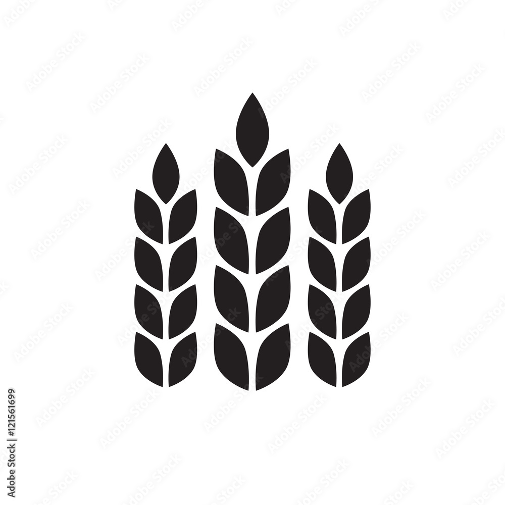 Wheat ears or rice icon. Agricultural symbol isolated on white background. Design elements for bread packaging or beer label. Vector illustration.