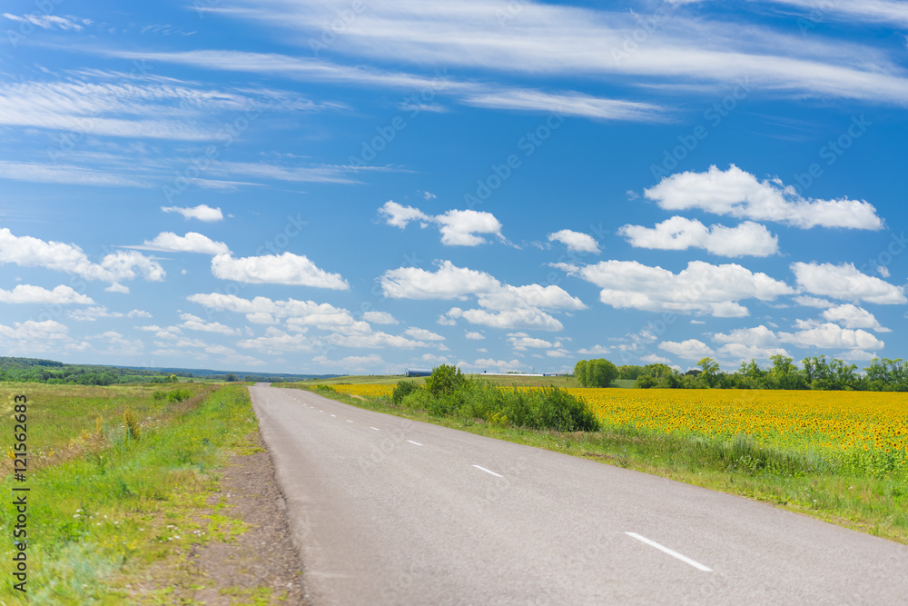 Fototapeta premium Asphalt road near the field with sunflowers under blue sky with clouds